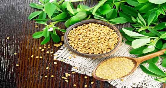 شنبلیله در بارداری ضرر دارد ؛ آیا مصرف شنبلیله در بارداری مضر است؟