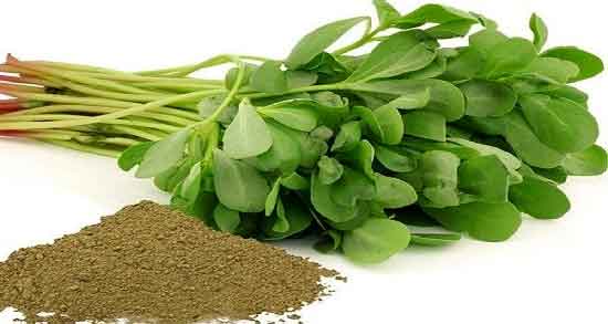 شنبلیله و حاملگی و فواید و مضرات مصرف شنبلیله در دوران حاملگی شنبلیله و حاملگی ؛ فواید و مضرات مصرف شنبلیله در دوران حاملگی