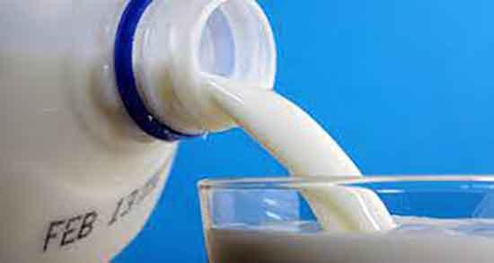 شیر شتر برای آسم ؛ خواص شیر شتر برای اسم از نظر طب اسلامی