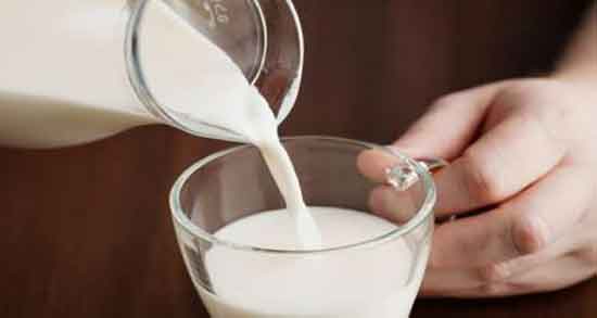 شیر شتر برای سنگ کلیه ؛ ایا شیر شتر باعث سنگ کلیه میشود