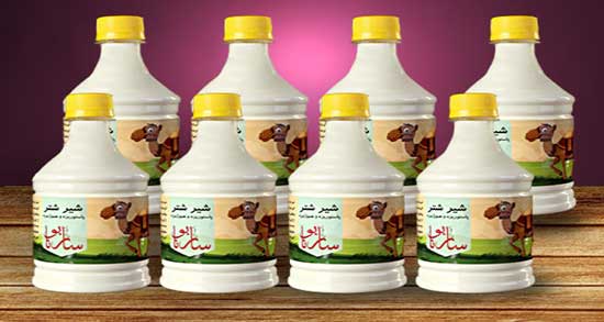 شیر شتر و عسل ؛ خواص استفاده از شیر شتر و عسل برای پوست