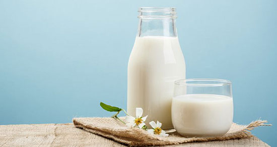 شیر گاو برای بچه گربه ؛ خاصیت دادن شیر گاو به بچه گربه چیست