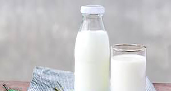 شیر گاو در طب سنتی ؛ درمان حساسیت به شیر گاو در طب سنتی