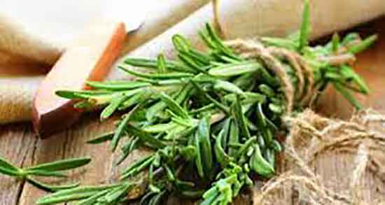 طبع دمنوش رزماری و گل محمدی ؛ طبیعت دمنوش چای سبز و رزماری