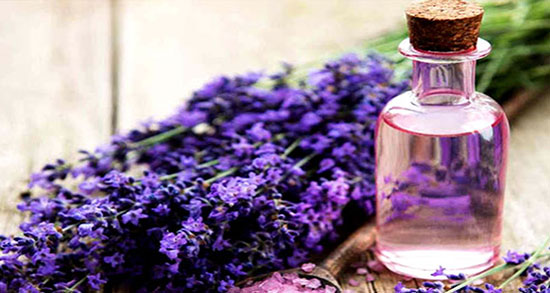 طبع روغن اسطوخودوس ؛ طبع روغن اسطوخودوس گرم است یا سرد