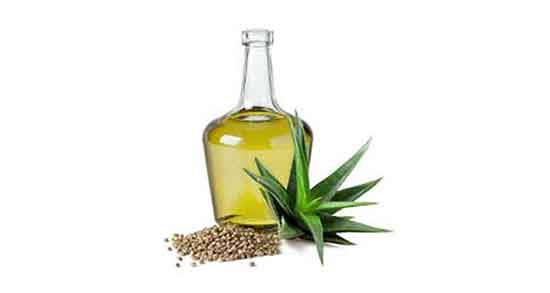 طبع روغن شاهدانه ؛ طبیعت روغن شاهدانه برای بدن سرد است یا گرم