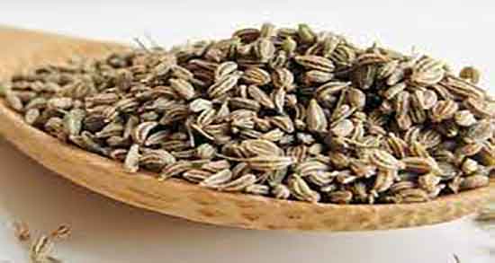 طبع زنیان ؛ طبع زنیان تازه از نظر طب سنتی سرد است یا گرم