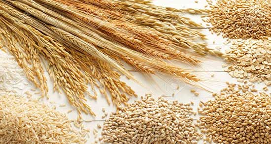 طبع سبوس گندم ؛ طبع سبوس گندم از نظر طب سنتی گرم است یا سرد
