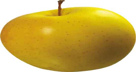 طبع سیب زرد ؛ طبع سیب زرد از نظر طب سنتی سرد است یا گرم