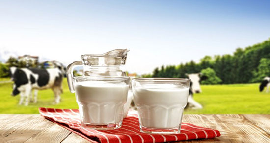 طبع شیر گاو ؛ طبع شیر گاو از نظر طب سنتی سرد است یا گرم