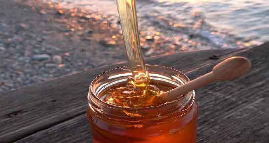 طبع عسل زول و آشنایی با خواص درمانی و طبع عسل زول طبع عسل زول ؛ آشنایی با خواص درمانی و طبع عسل زول