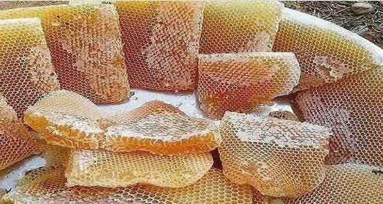 طبع موم عسل ؛ آشنایی با خواص درمانی و طبع موم عسل