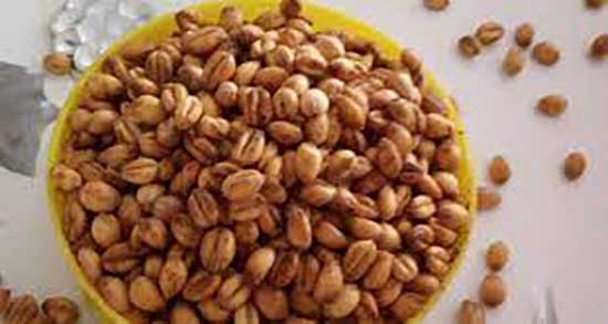 طبع گندم بو داده ؛ طبع خوردن گندم بوداده گرم است یا سرد
