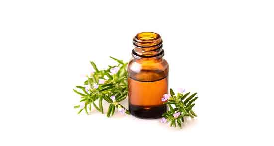 طرز استفاده از روغن رزماری ؛ بهترین روش برای استفاده از روغن رزماری