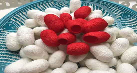 طرز استفاده از پیله ابریشم ؛ دستور استفاده از پیله ابریشم چگونه است
