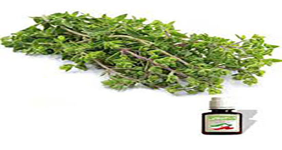 طرز استفاده روغن مرزنجوش ؛ دستور مصرف روغن مرزنجوش چگونه است