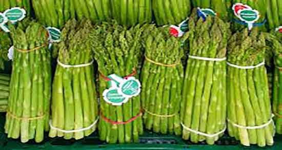طرز استفاده زردچوبه برای تنگی واژن ؛ دستور مصرف زردچوبه برای تنگی واژن