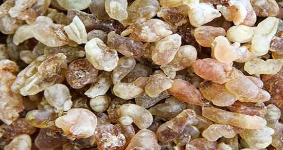 طرز تهیه آدامس سقز ؛ دستور تهیه ادامس سقز به روش خانگی