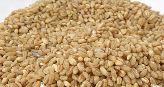طرز تهیه بلغور گندم ؛ دستور تهیه بلغور گندم برای انواع سوپ و اش ها