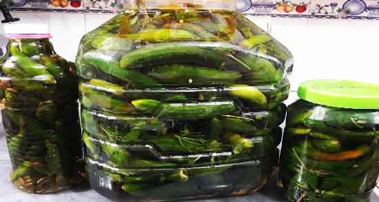 طرز تهیه خیارشور دبه ای ؛ آموزش درست کردن خیارشور دبه ای ترد و خوشمزه