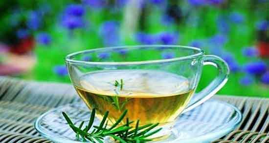 طرز تهیه دمنوش رزماری برای لاغری ؛ دمنوش رزماری برای چربی سوزی