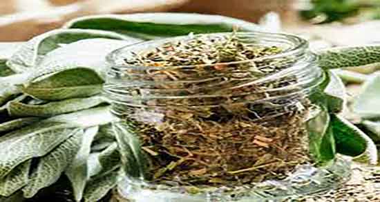 طرز تهیه دمنوش مریم گلی برای لاغری ؛ دستور تهیه دمنوش مریم گلی