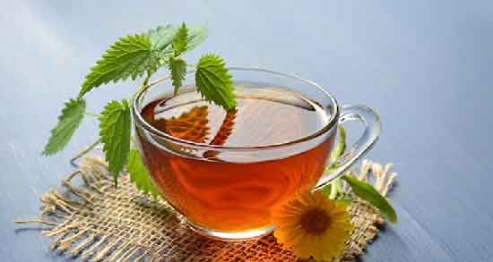 طرز تهیه دمنوش گزنه برای پروستات ؛ درمان بیماری پروستات با مصرف دمنوش گزنه