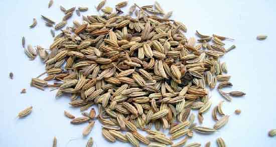 طرز تهیه روغن رازیانه ؛ آموزش مرحله به مرحله درست کردن روغن رازیانه