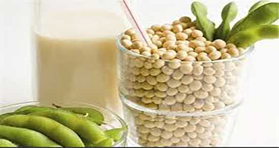 طرز تهیه شیر سویا ؛ دستور تهیه شیر سویا شف طیبه چگونه است