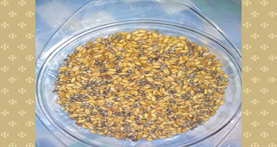 طرز تهیه گندم بو داده ؛ دستور تهیه گندم بو داده خانگی چگونه است