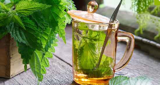 طرز درست کردن دمنوش گزنه ؛ آموزش صحیح درست کردن دمنوش گزنه در منزل