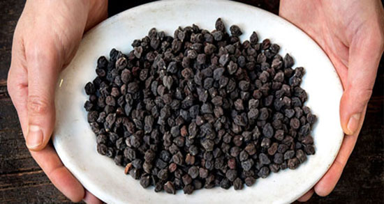 طرز پخت نخود سیاه ؛ دستور پخت نخود سیاه در خانه چگونه است