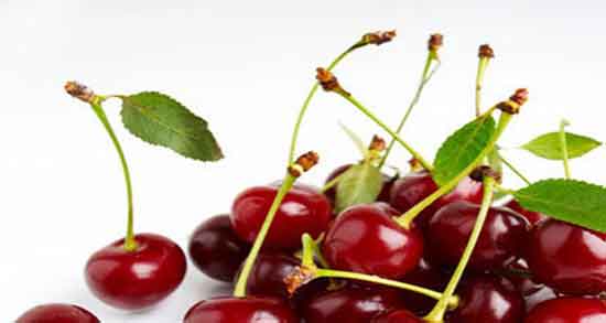 طریقه مصرف دم گیلاس ؛ دستور استفاده از دم گیلاس برای بدن کودکان