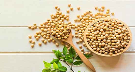 طریقه مصرف روغن سویا ؛ دستور استفاده از روغن سویا برای سالاد