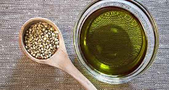 طریقه مصرف روغن شاهدانه ؛ نحوه مصرف روغن شاهدانه برای غذا