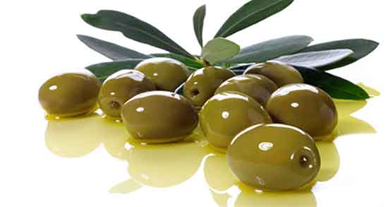 طریقه مصرف زیتون تلخ ؛ دستور خوردن زیتون تلخ رسیده چگونه است