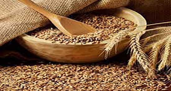 طریقه مصرف سبوس گندم ؛ دستور مصرف سبوس گندم برای چاق شدن