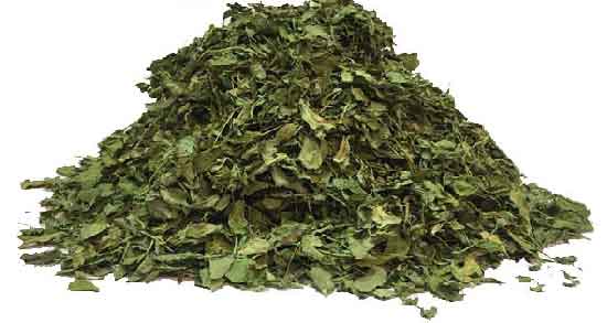 طریقه مصرف شنبلیله ؛ بهترین روش برای استفاده از شنبلیله