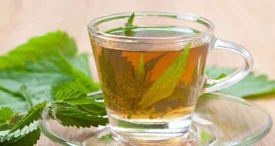 طریقه مصرف گزنه برای درمان پروستات ؛ روش استفاده از گزنه برای درمان خانگی پروستات