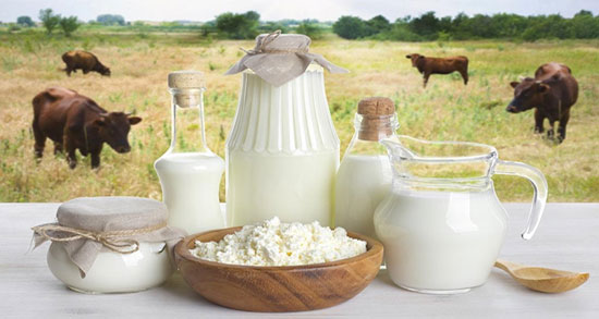 عادت دادن کودک به شیر گاو ؛ ایا عادت دادن کودک به شیر گاو خوب است