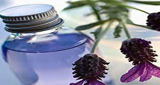 عرق اسطوخودوس و سنبل الطیب ؛ ترکیب عرق اسطوخودوس چیست