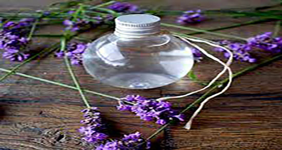 عرق اسطوخودوس و لاغری ؛ خاصیت عرق اسطوخودوس برای چربی سوزی