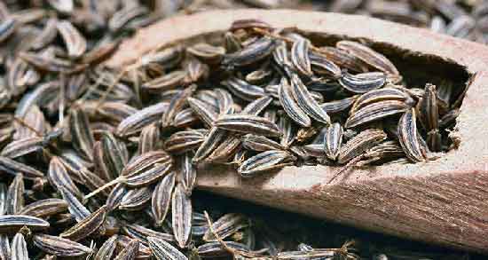 عرق رازیانه برای چی خوبه و برای درمان کدام بیماری مصرف عرق رازیانه مفید است؟ عرق رازیانه برای چی خوبه ؛ برای درمان کدام بیماری مصرف عرق رازیانه مفید است؟