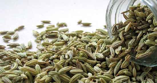 عرق رازیانه و عسل و فواید درمانی خوردن رازیانه و عسل برای سلامتی عرق رازیانه و عسل ؛ فواید درمانی خوردن رازیانه و عسل برای سلامتی