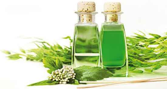 عرق شیرین بیان برای معده ؛ ایا عرق شیرین بیان برای معده خوب است