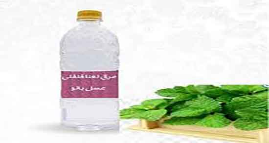 عرق نعناع فلفلی و کرونا ؛ درمان ویروس کرونا با مصرف عرق نعناع فلفلی