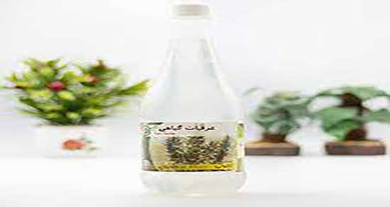 عرق کاکوتی برای کرونا ؛ استفاده از عرق کاکوتی برای درمان ویروس کرونا