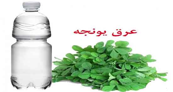 عرق یونجه در پریودی و خاصیت مصرف عرق یونجه برای پریودی زنان عرق یونجه در پریودی ؛ خاصیت مصرف عرق یونجه برای پریودی زنان