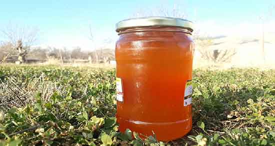 عسل چهل گیاه برای زن باردار ؛ فواید مصرف عسل چهل گیاه برای سلامت زن باردار