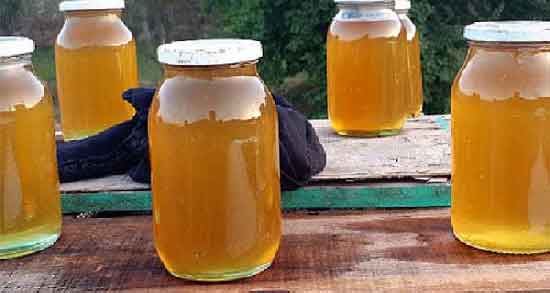 عسل کنار در بارداری و افزایش هوش کودک با خوردن عسل کنار در بارداری عسل کنار در بارداری ؛ افزایش هوش کودک با خوردن عسل کنار در بارداری